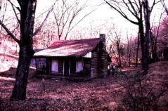 evil-dead-cabin