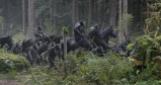 Dawn-of-the-Planet-of-the-Apes- pic 6